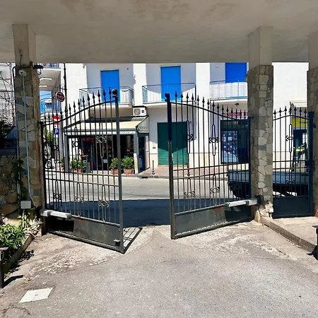 Panoramica In Vista Mare E Vesuvio *